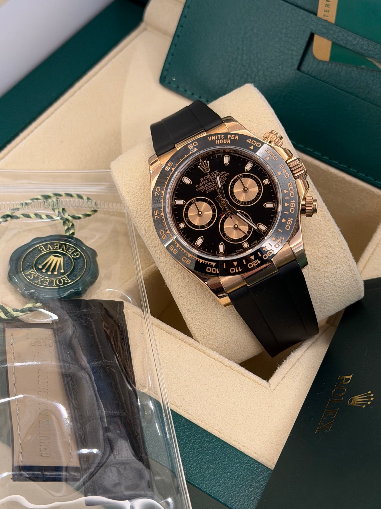 116515LN - 2018 ☀️🦁😍