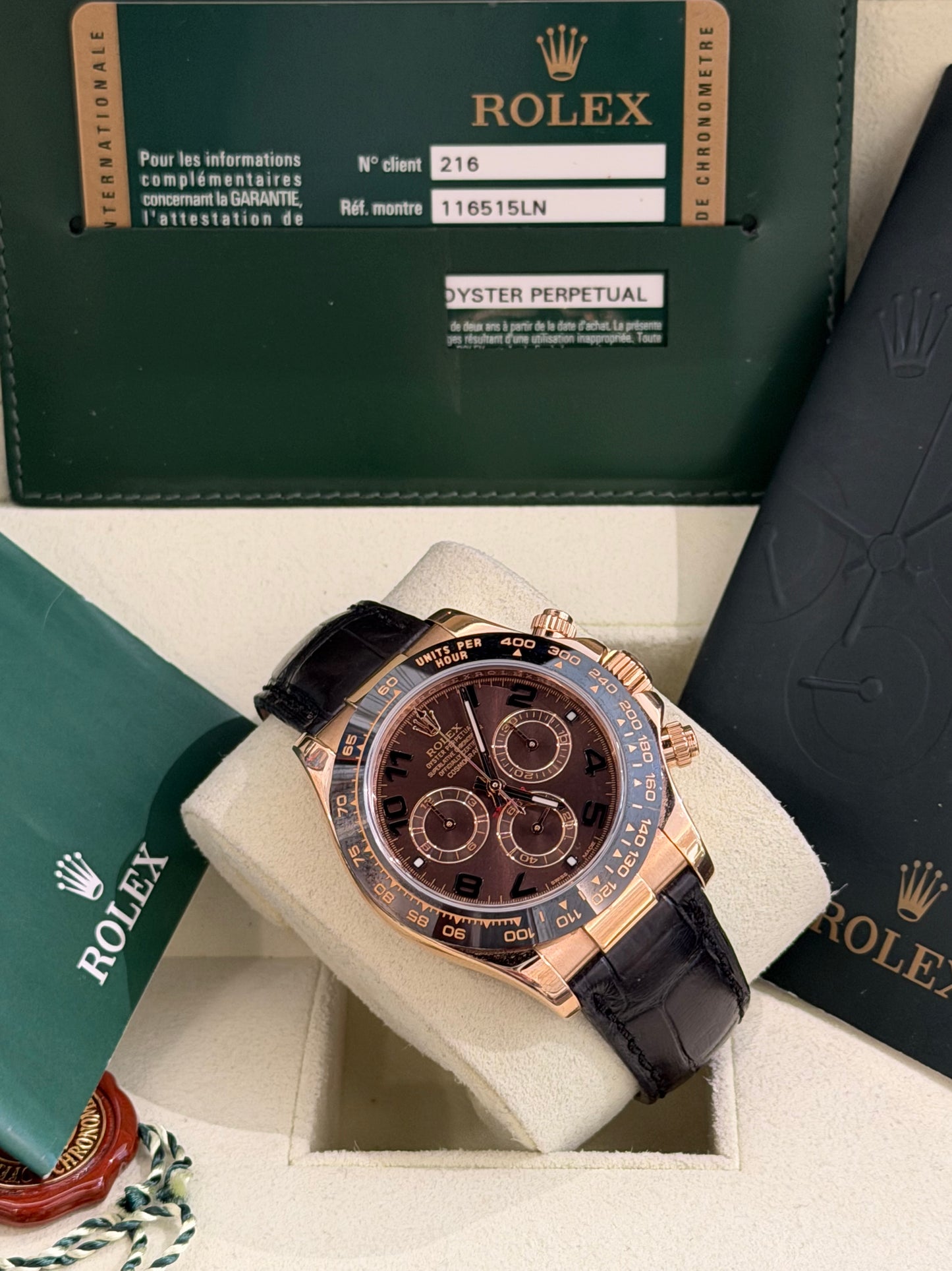 Bellissimo Daytona  🍫 🦁😍