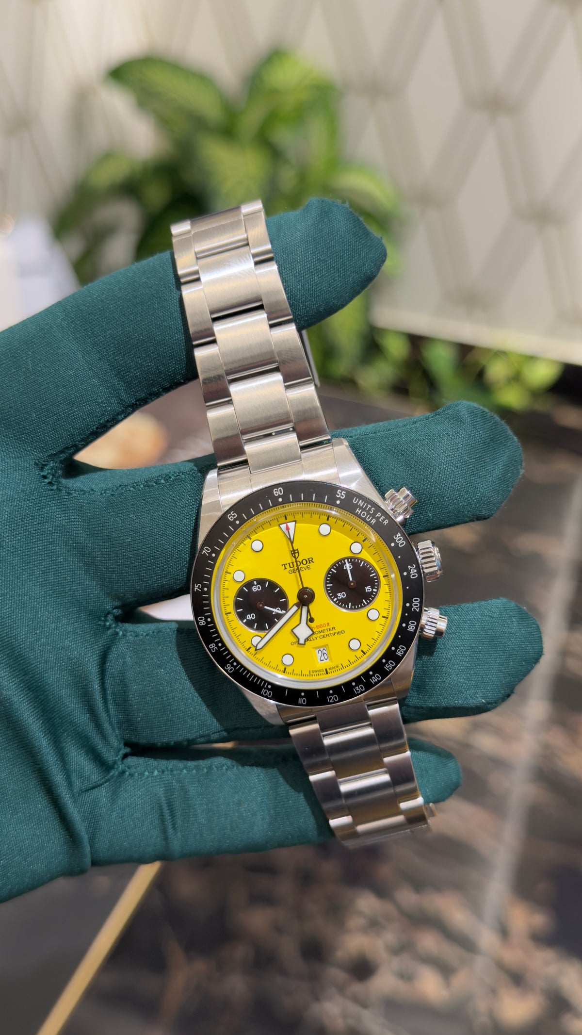 Tudor 39 mm ☀️🥳 09/2026 nuovo